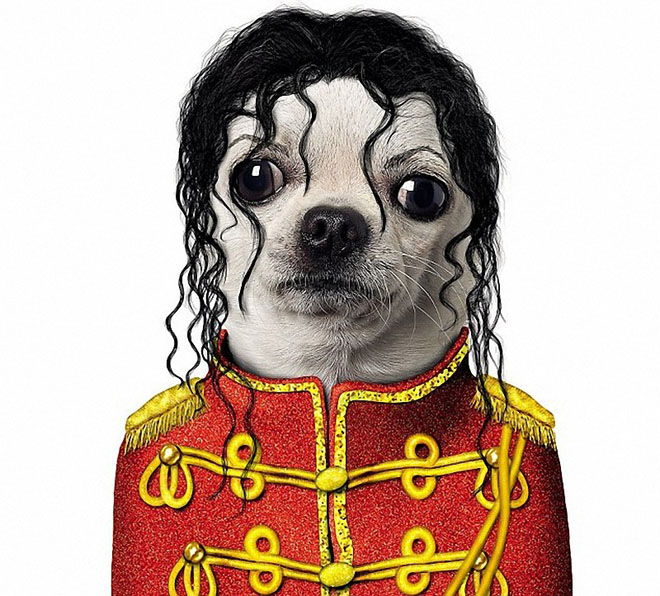 MICHAEL JACKSON - Dog Disguisefamous person faces celebrity animal funny